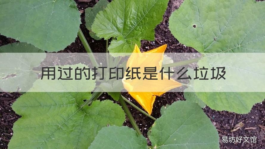 用过的打印纸是什么垃圾 打印过后的纸属于什么垃圾