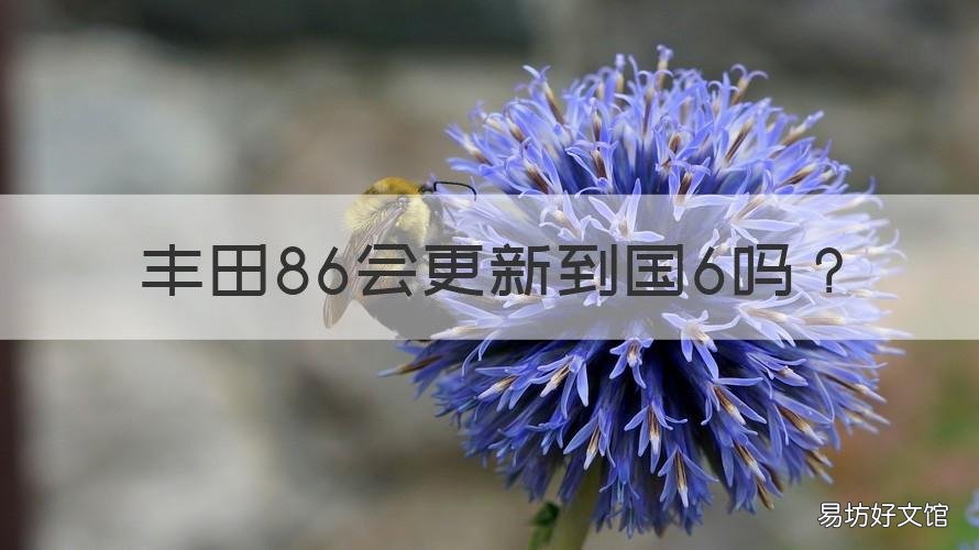丰田86会更新到国6吗 丰田86会出国六吗