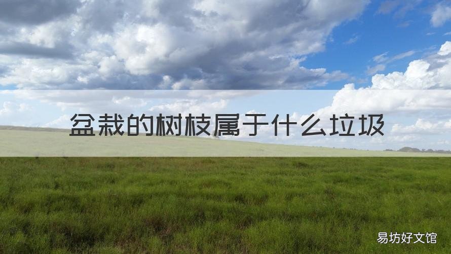 盆栽的树枝属于什么垃圾 树枝属于什么垃圾?
