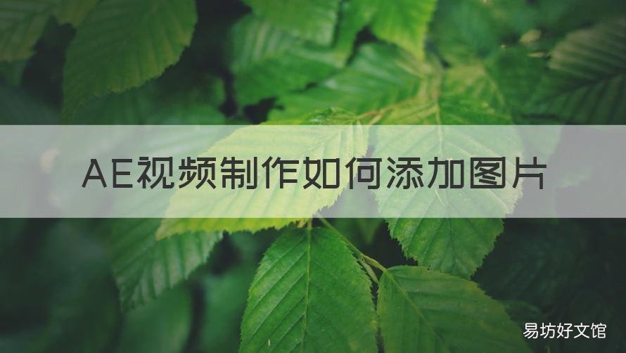 AE视频制作如何添加图片 ae怎么用图片做视频