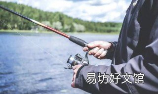 小鱼闹窝怎样钓鲫鱼 钓鲫鱼小鱼闹窝的最有效的方法