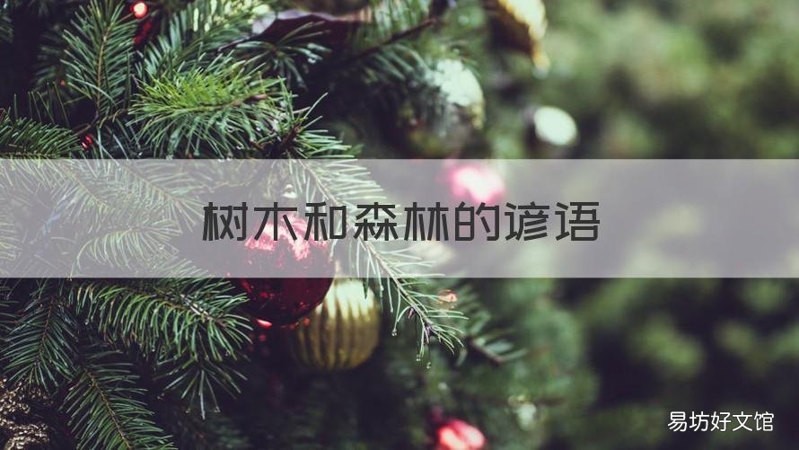 树木和森林的谚语 谚语 树木