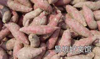 泡沫箱红薯的保存方法过冬 紫薯能用泡沫箱子保存吗