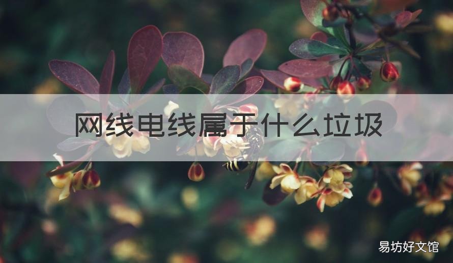 网线电线属于什么垃圾 电线网线属于哪类垃圾