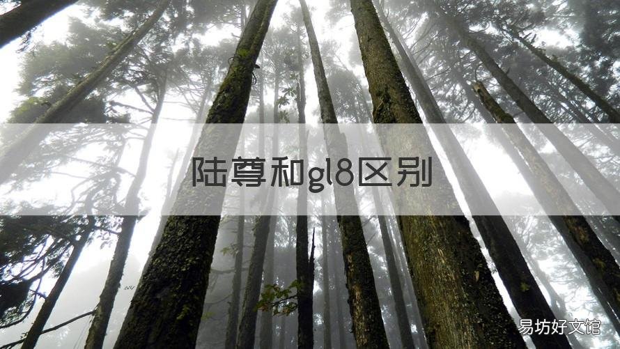 陆尊和gl8区别 gl 8和陆尊的区别