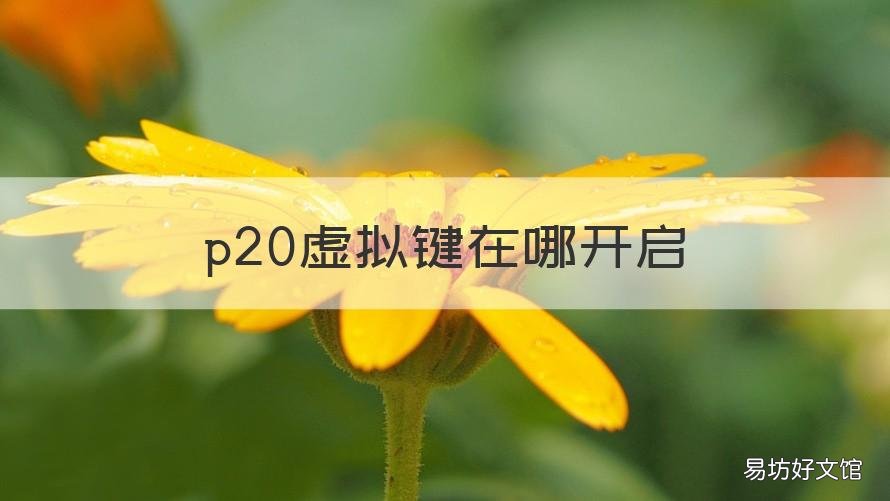 p20虚拟键在哪开启 p20虚拟键怎么设置