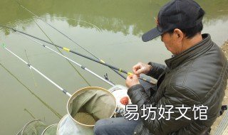 钓白条单钩好还是双钩好 钓白条单钩好还是双钩好呢