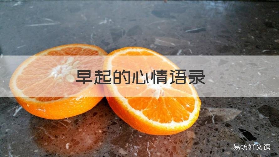 早起的心情语录 早起的心情语录图片