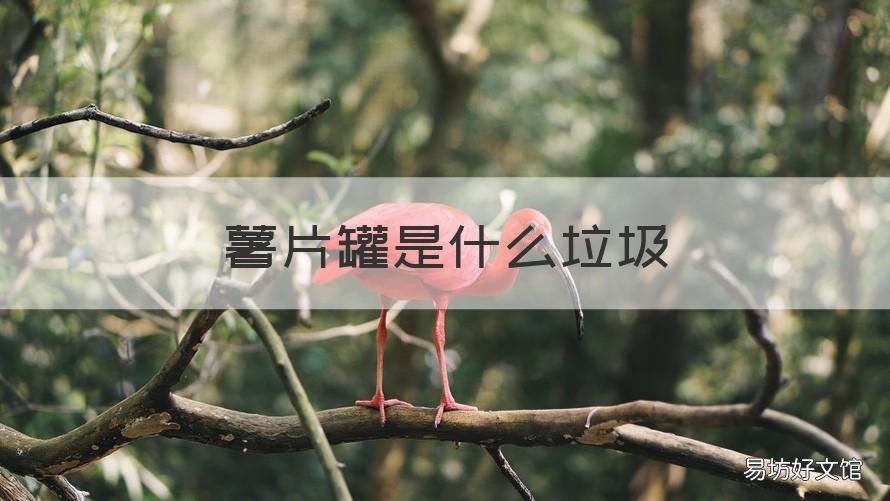薯片罐是什么垃圾 薯片罐属于什么垃圾?