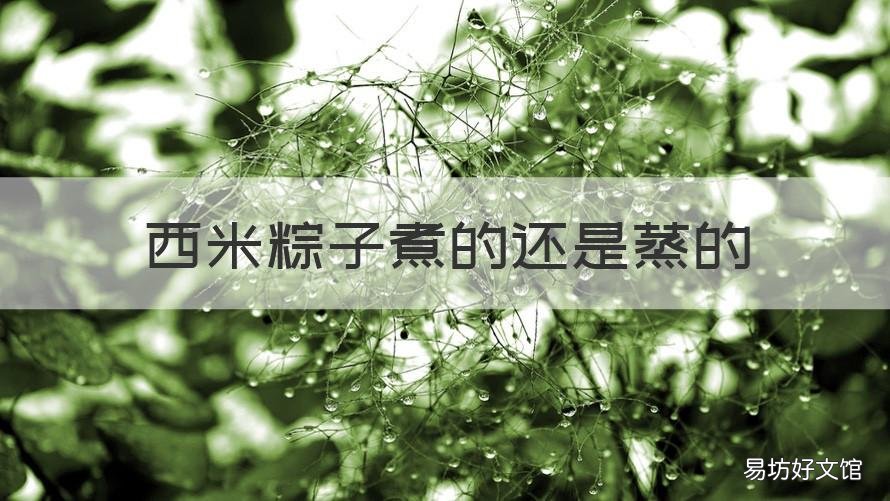 西米粽子煮的还是蒸的 西米包粽子是煮还是蒸