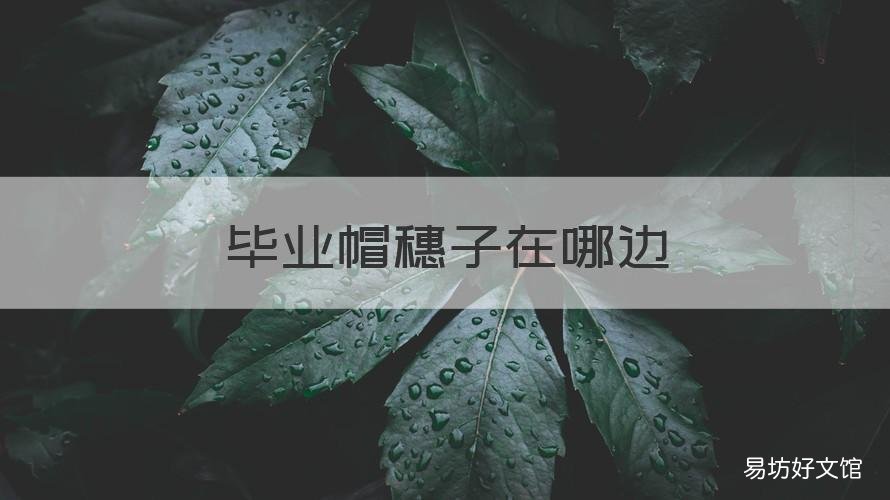 毕业帽穗子在哪边 本科毕业帽穗子在哪边
