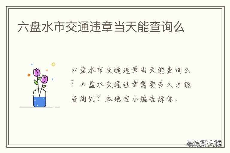 六盘水市交通违章当天能查询么