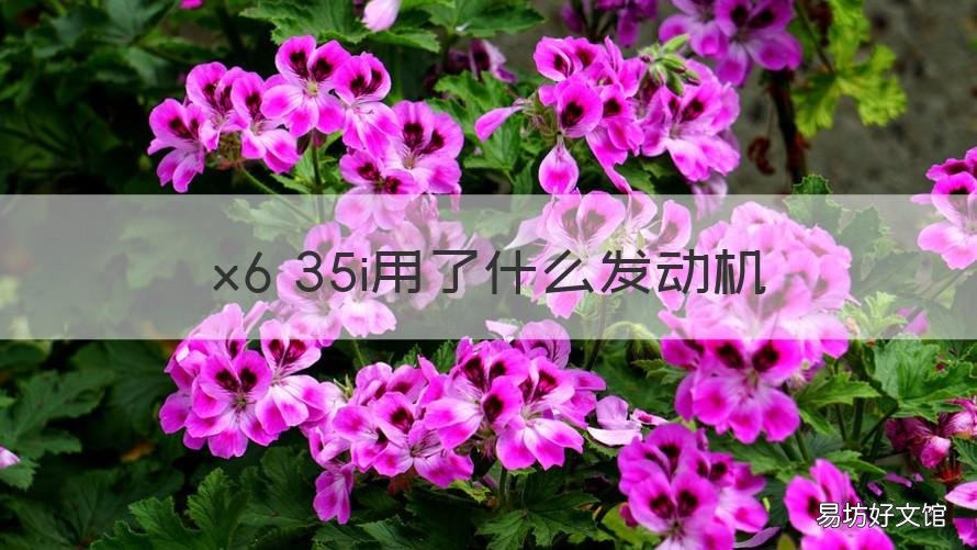 x6 35i用了什么发动机 宝马x6,35i是多大排量