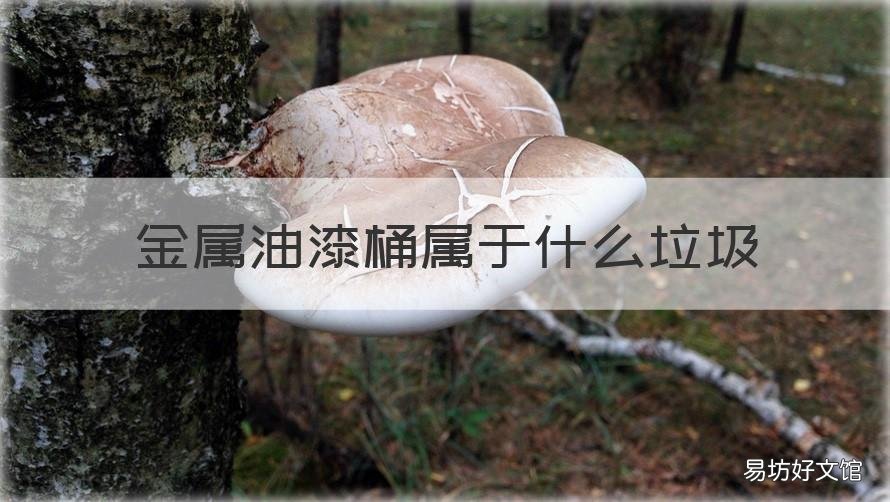 金属油漆桶属于什么垃圾 油漆桶属于什么垃圾?