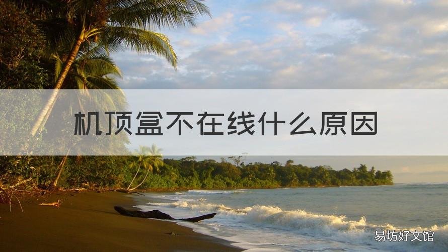 机顶盒不在线什么原因 智能机顶盒有网为什么看不了怎么办