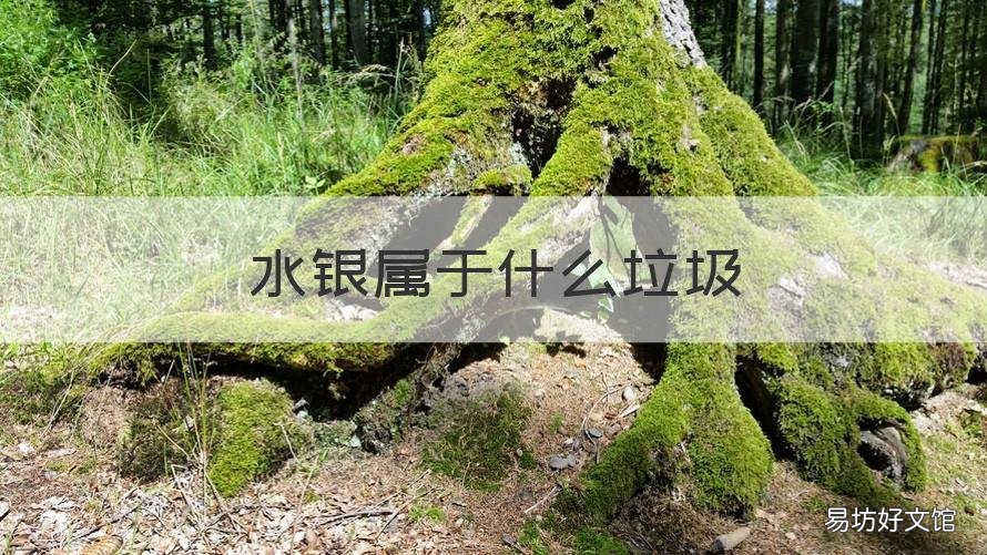 水银属于什么垃圾 水银属于医疗垃圾吗