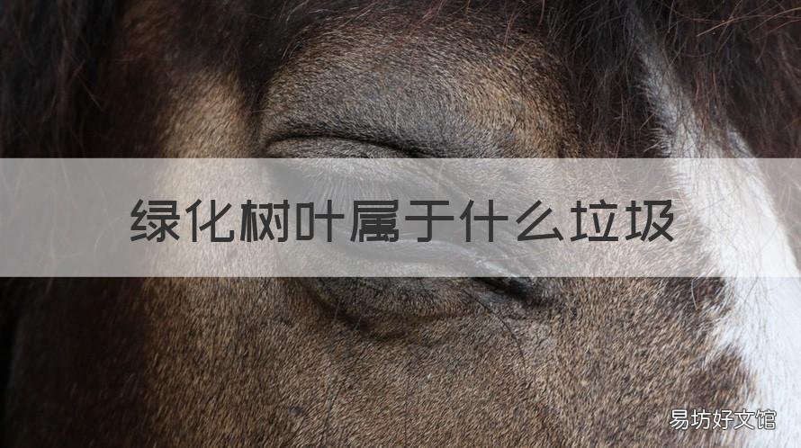 绿化树叶属于什么垃圾 绿化树叶属于什么垃圾类型