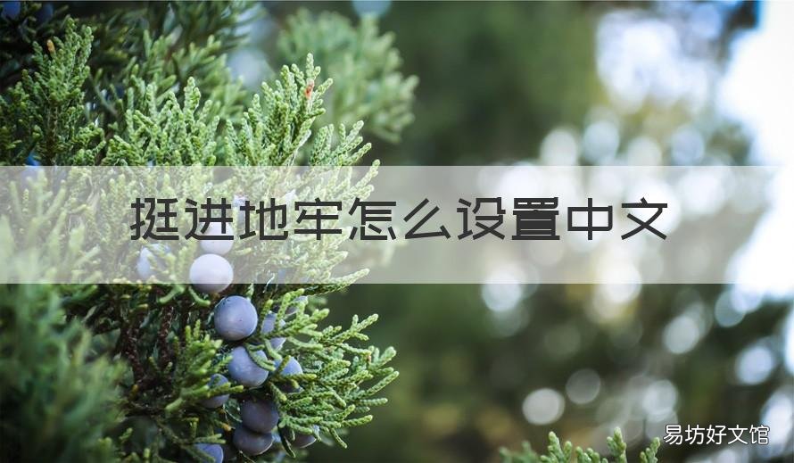 挺进地牢怎么设置中文 挺进地牢怎么设置中文语音