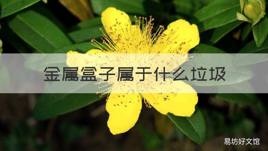金属盒子属于什么垃圾 木质盒子属于什么垃圾