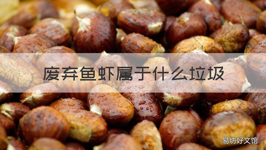 废弃鱼虾属于什么垃圾 废弃鱼虾属于什么垃圾类