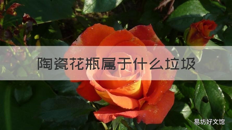 陶瓷花瓶属于什么垃圾 完整的陶瓷花盆属于什么垃圾