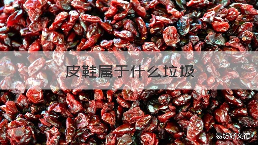 皮鞋属于什么垃圾 鞋子属于哪类垃圾