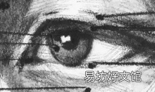 素描如何画五官 素描画五官的作文