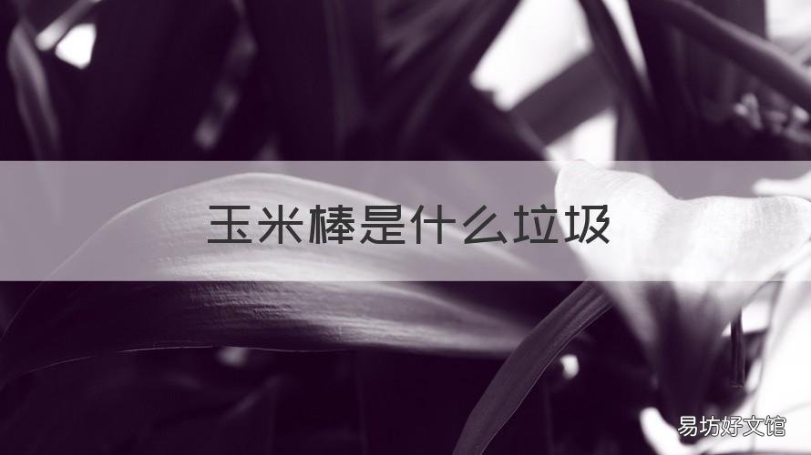 玉米棒是什么垃圾 玉米棒 什么垃圾