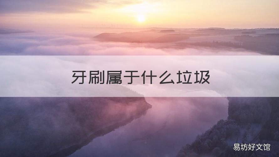 牙刷属于什么垃圾 鞋子属于什么垃圾
