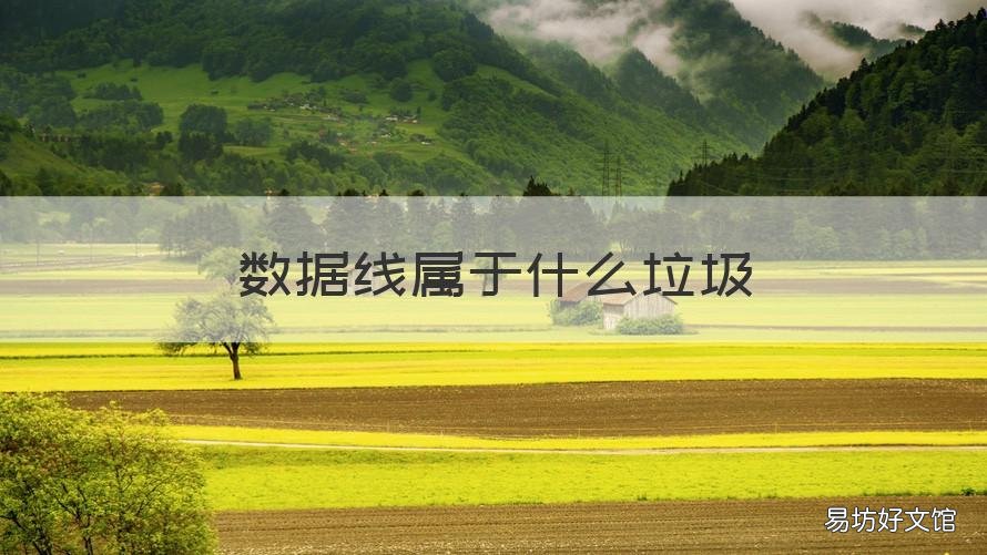 数据线属于什么垃圾 数据线属于什么垃圾分类