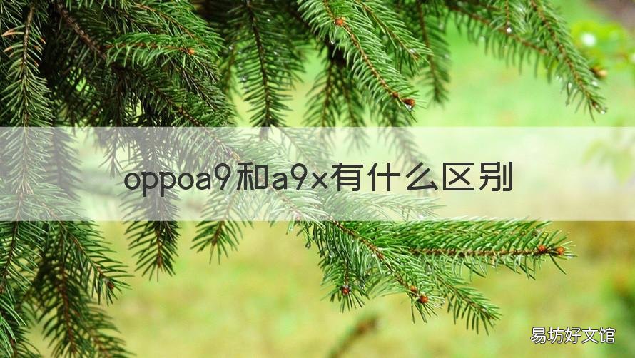 oppoa9和a9x有什么区别 oppoa9和a9x的区别外观