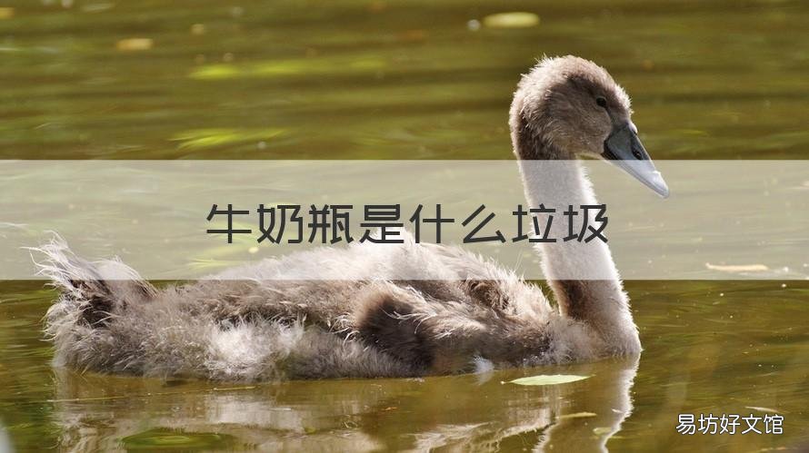 牛奶瓶是什么垃圾 奶瓶饮料瓶属于什么垃圾