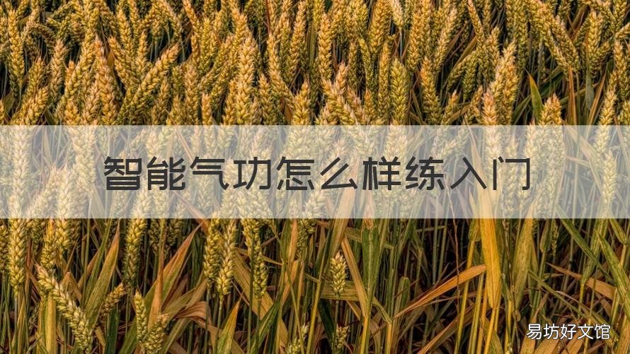 智能气功怎么样练入门 智能气功怎么样练入门教程