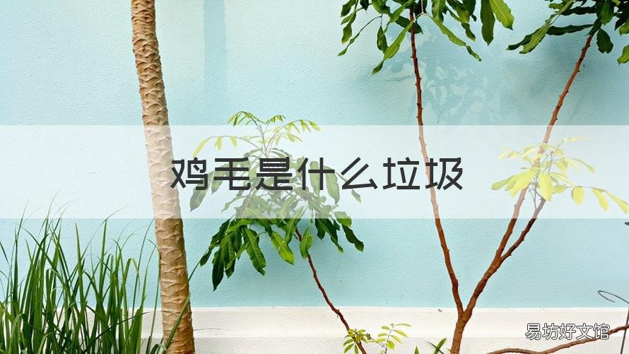 雞毛是什么垃圾 雞毛是屬于什么垃圾