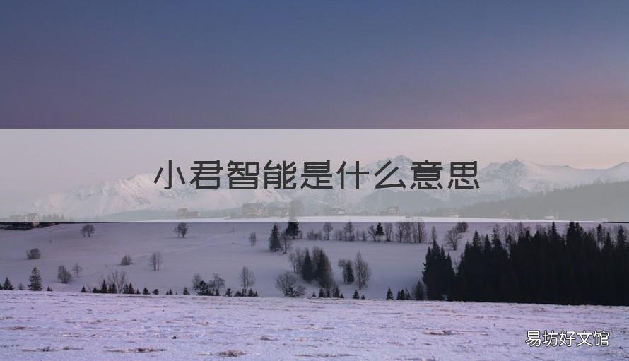 小君智能是什么意思 小君君啥意思
