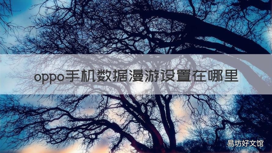 oppo手机数据漫游设置在哪里 oppo手机数据漫游设置在哪里找