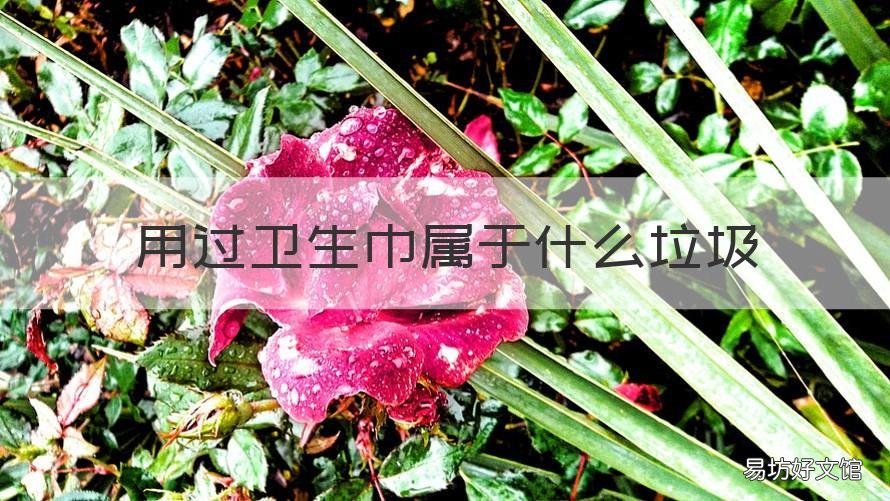 用过卫生巾属于什么垃圾 用过卫生巾是什么垃圾