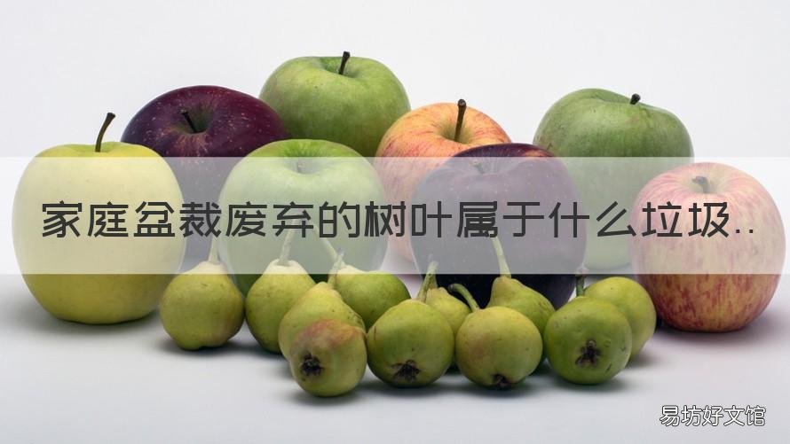 叶 家庭盆裁废弃的树叶属于什么垃圾 家庭盆栽废弃的树枝属于可回收垃圾