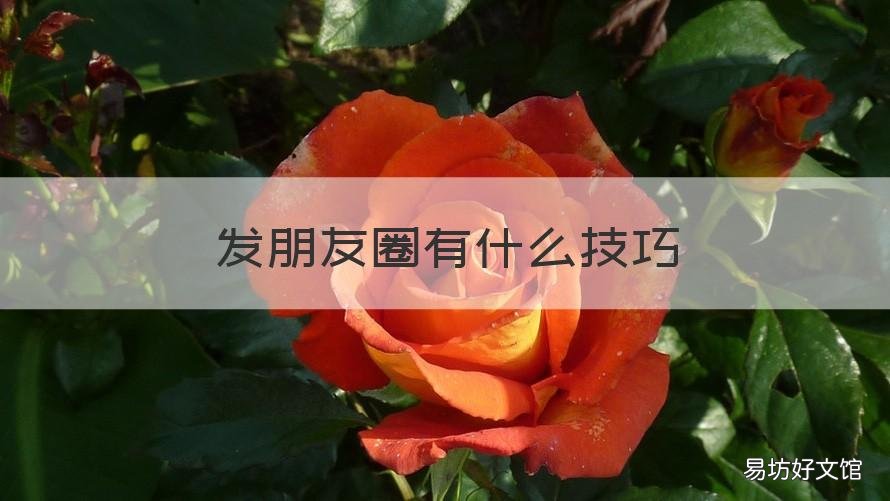 发朋友圈有什么技巧 如何巧妙发朋友圈