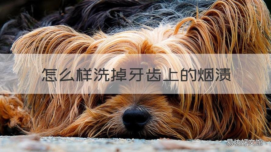 怎么样洗掉牙齿上的烟渍 怎样去掉牙齿上的烟渍