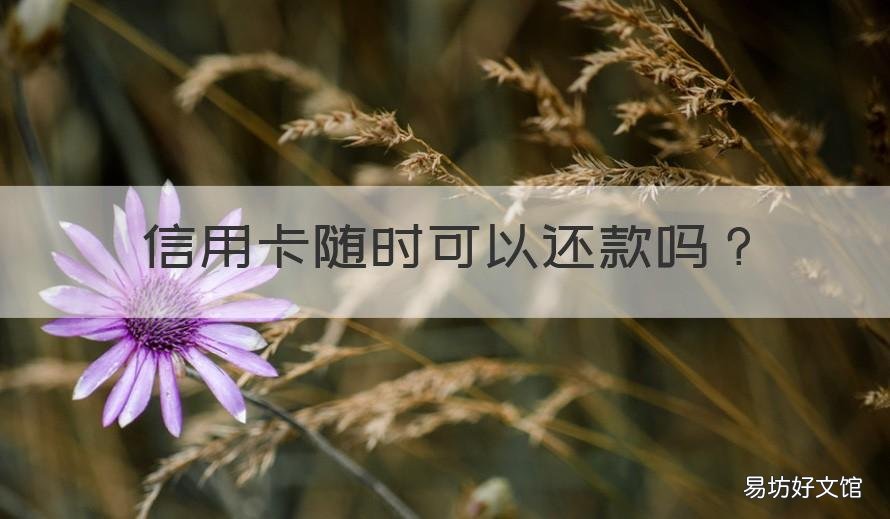 信用卡随时可以还款吗 还款可以用信用卡吗