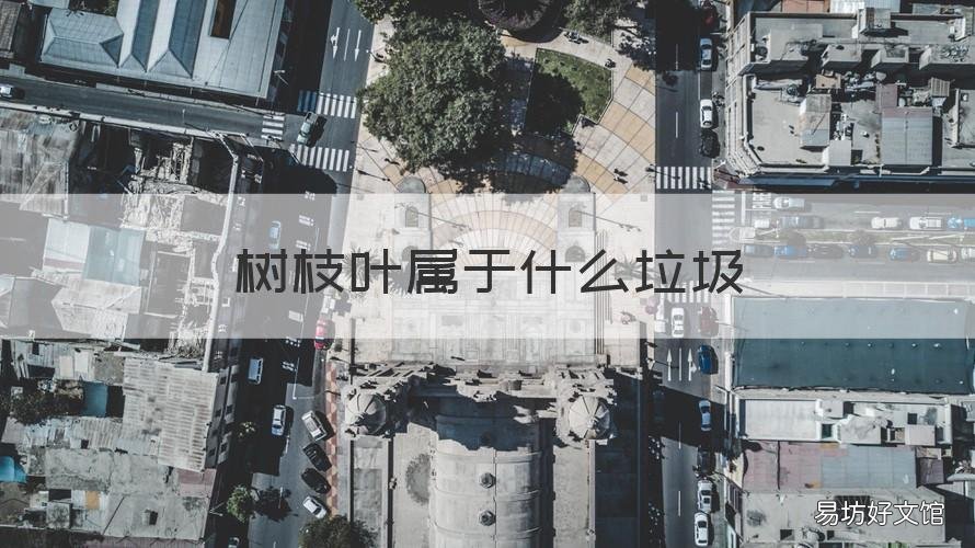 树枝叶属于什么垃圾 树枝树叶属于什么垃圾