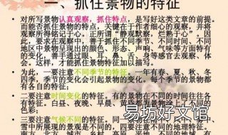 写景作文的方法与技巧 如何写好写景作文的方法和技巧