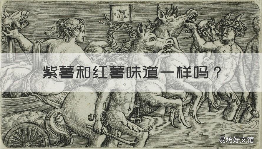 紫薯和红薯味道一样吗 紫薯和红薯味道一样吗图片