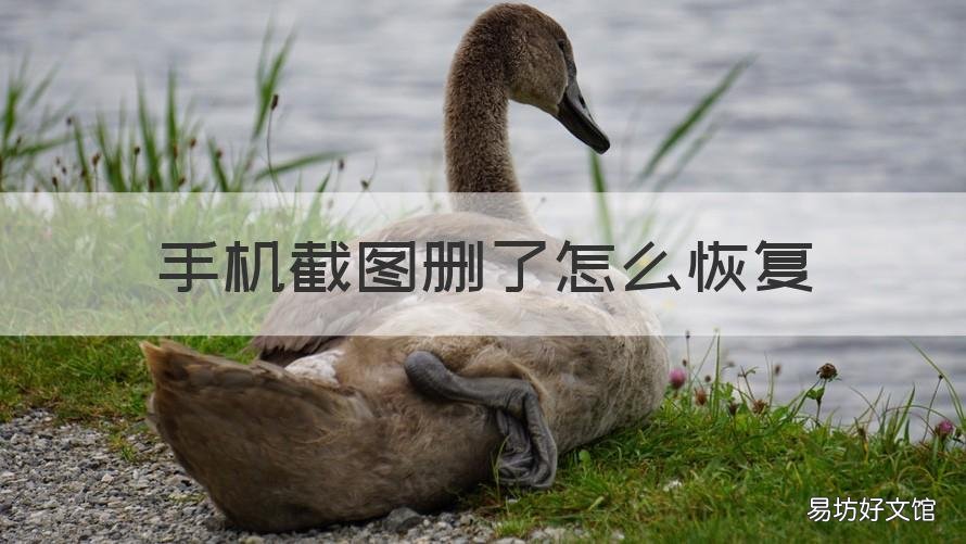 手机截图删了怎么恢复 手机里的截图删了怎么恢复