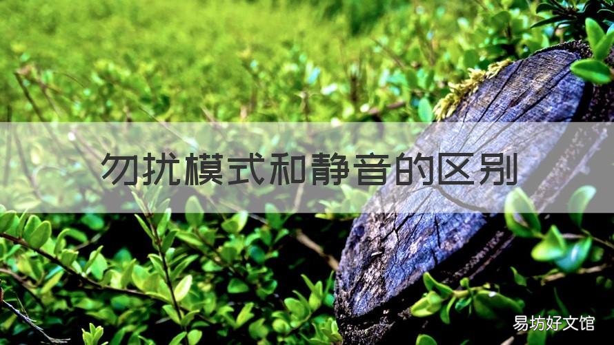 勿扰模式和静音的区别 勿扰模式和静音的区别苹果手机