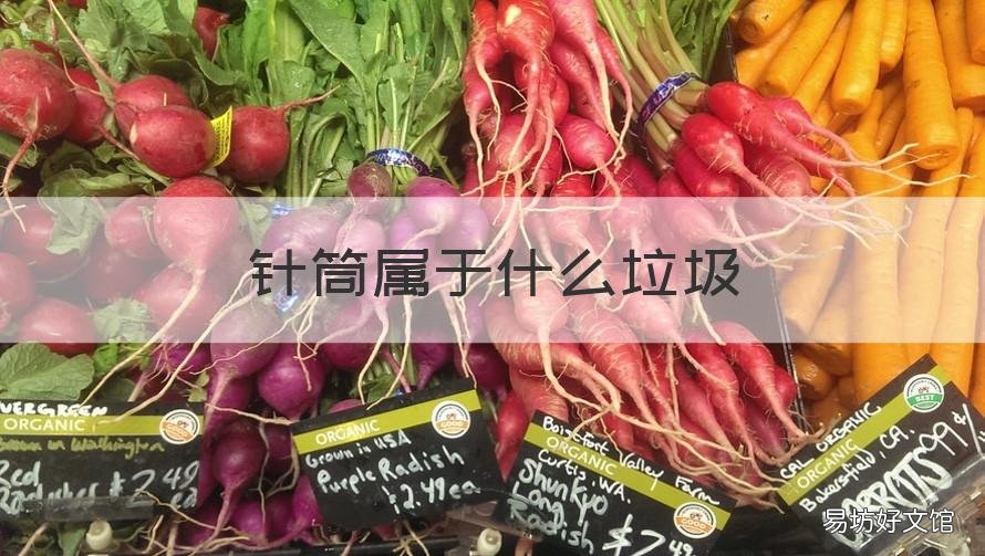 针筒属于什么垃圾 一次性针筒属于什么垃圾