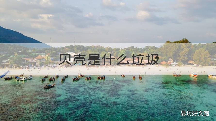 贝壳是什么垃圾 贝壳是什么垃圾 杭州垃圾分类