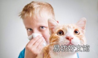 治感冒小妙招的食谱 感冒食谱窍门