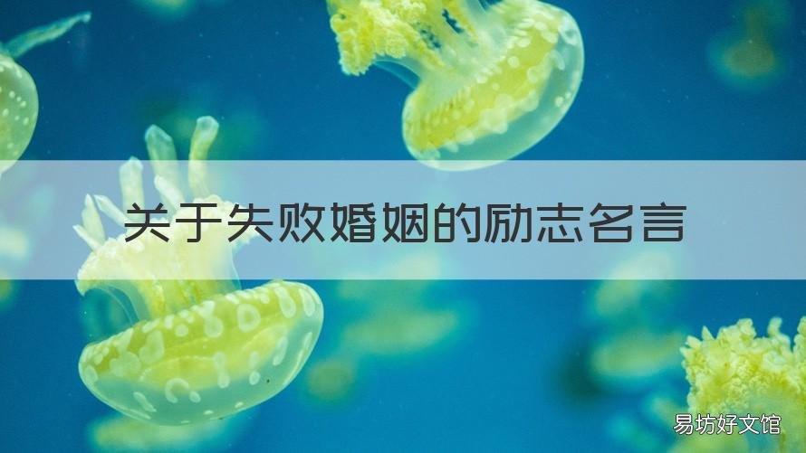 关于失败婚姻的励志名言 关于失败婚姻的励志名言警句